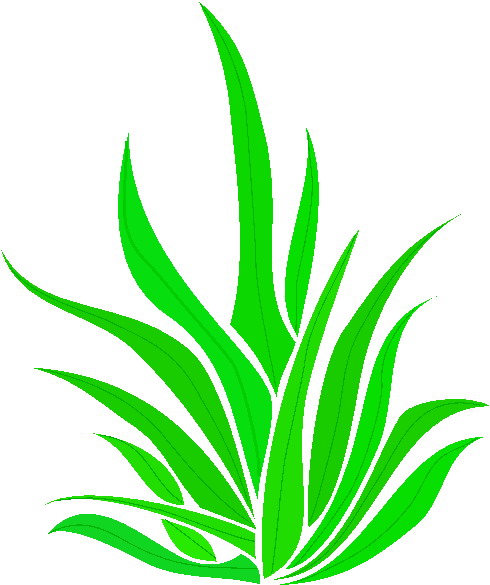 Plants clip art