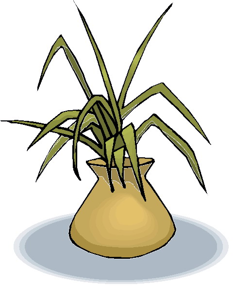 Plants clip art