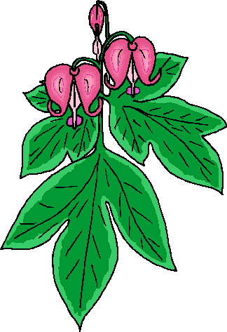 Plants clip art