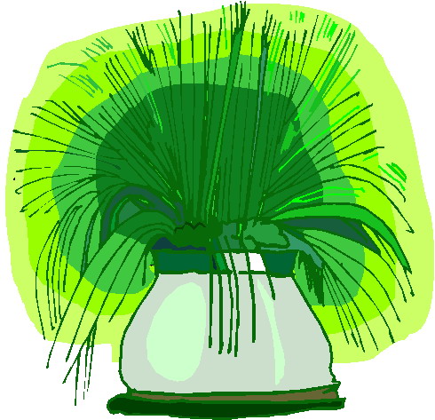 Plants clip art