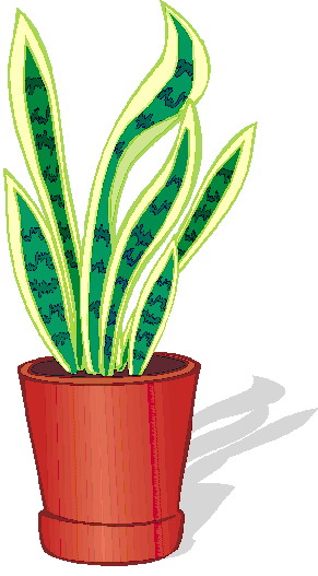 Plants clip art