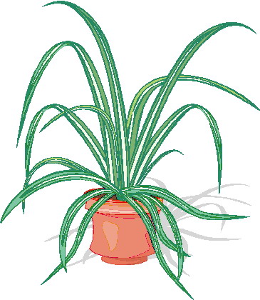 Plants clip art