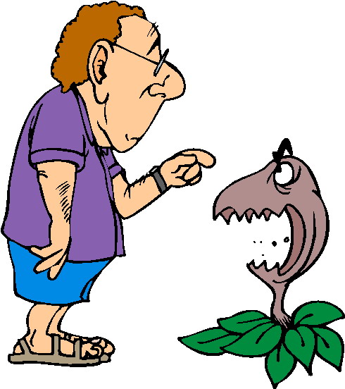 Plants clip art
