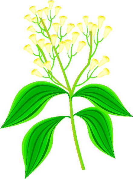 Plants clip art