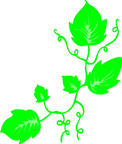 Plants clip art