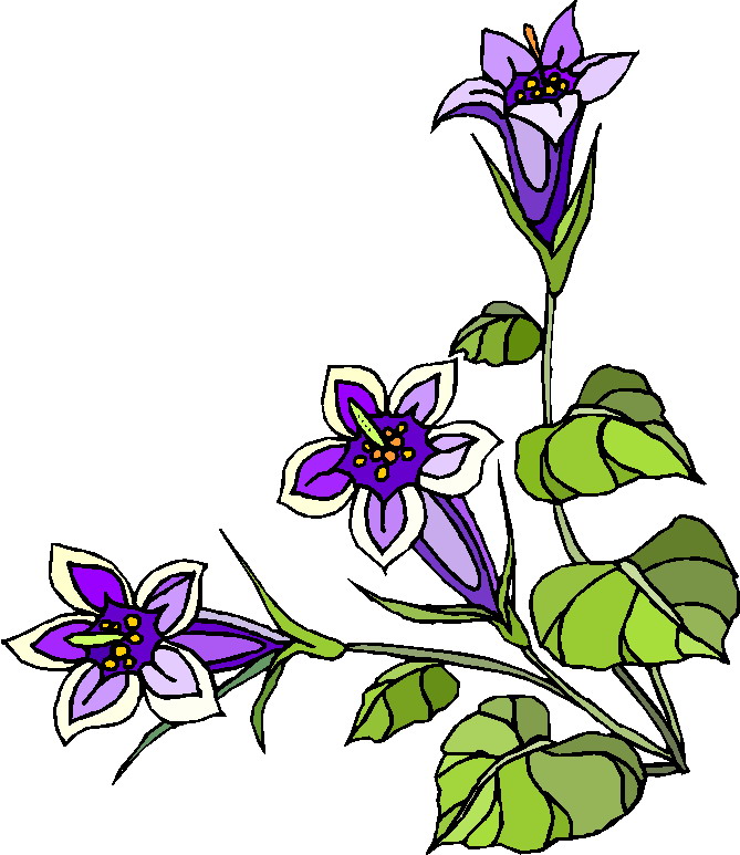 Plants clip art