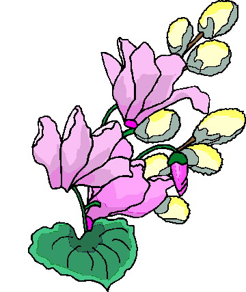 Plants clip art