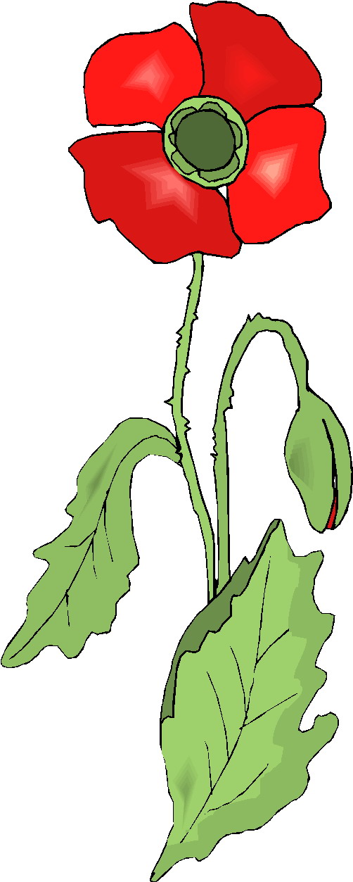 Plants clip art