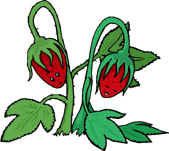 Plants clip art