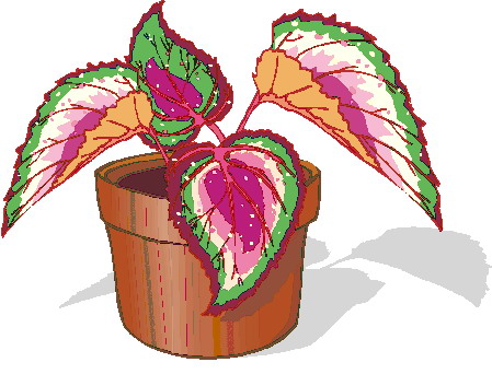 Plants clip art