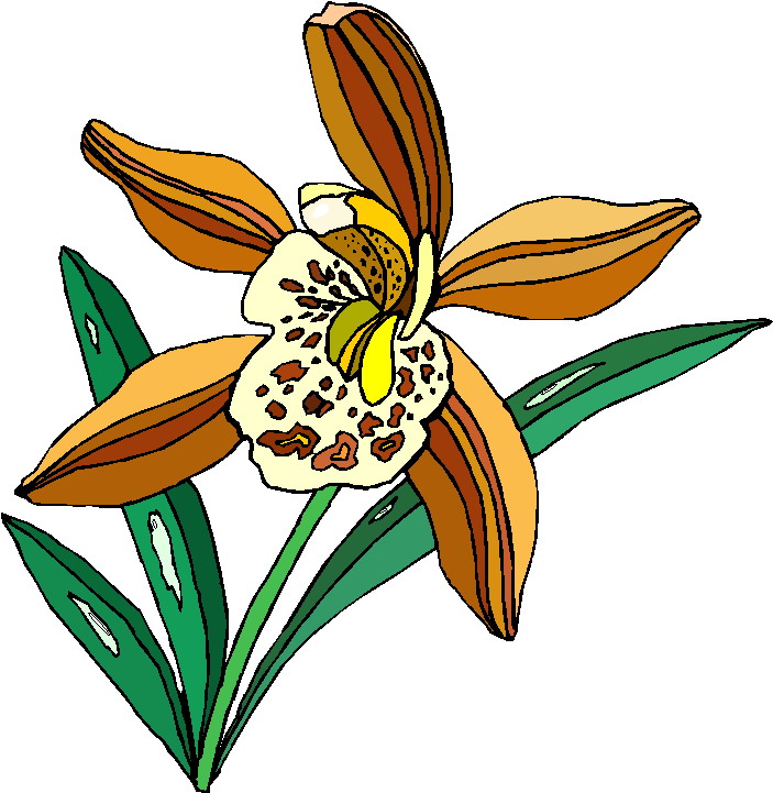 Plants clip art