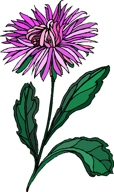 Plants clip art