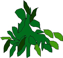 Plants clip art