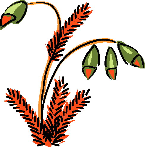 Plants clip art