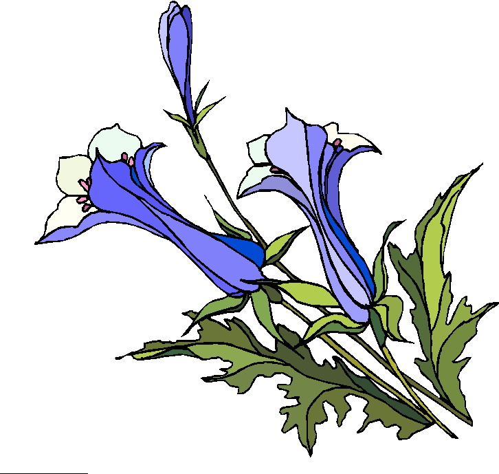 Plants clip art