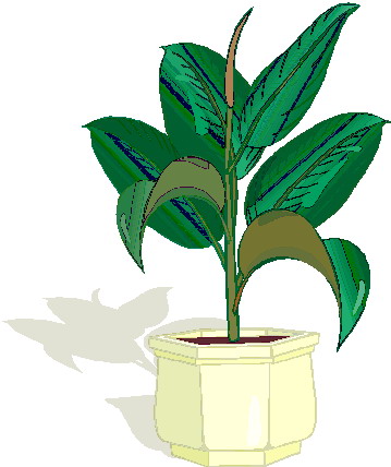 Plants clip art