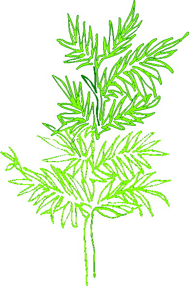 Plants clip art