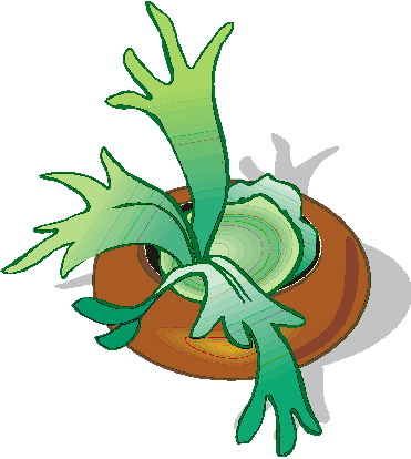 Plants clip art