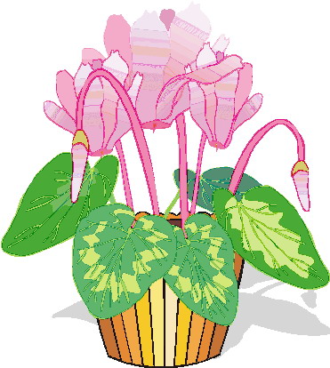 Plants clip art