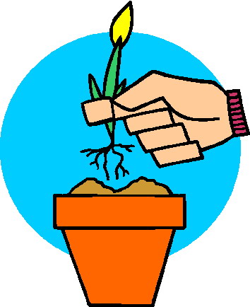 Plants clip art