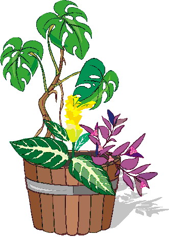 Plants clip art