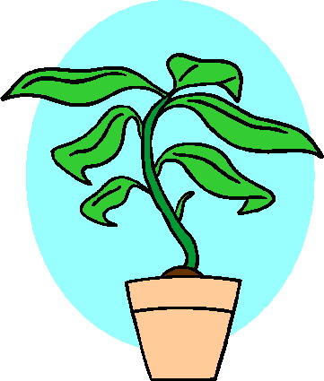 Plants clip art