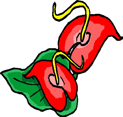 Plants clip art