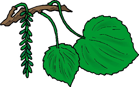 Plants clip art
