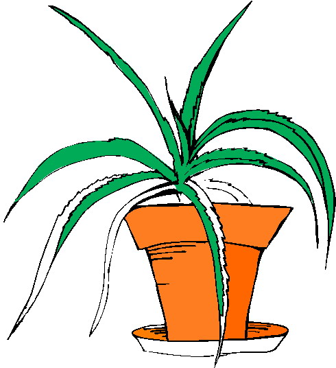Plants clip art