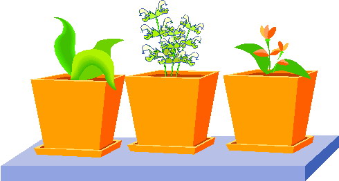 Plants clip art