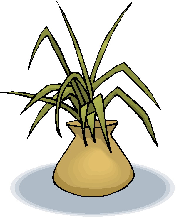 Plants clip art