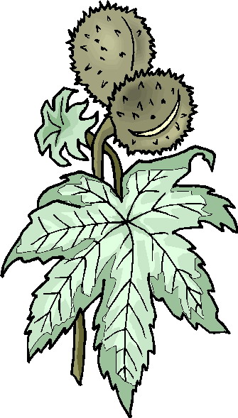 Plants clip art