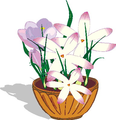 Plants clip art