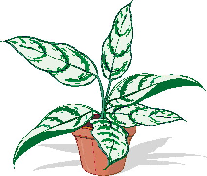 Plants clip art