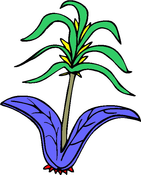 Plants clip art