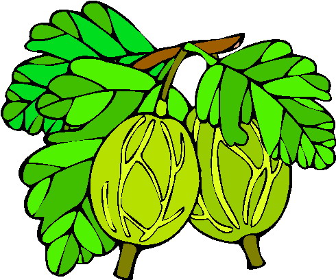 Plants clip art
