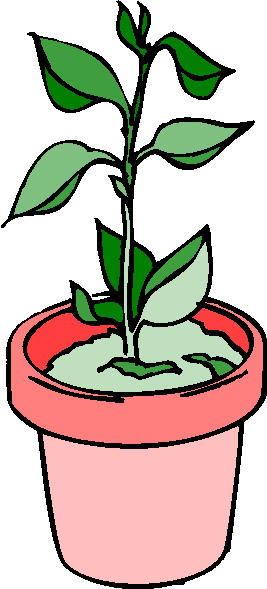 Plants clip art