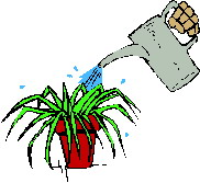 Plants clip art