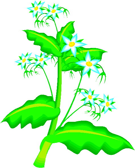 Plants clip art