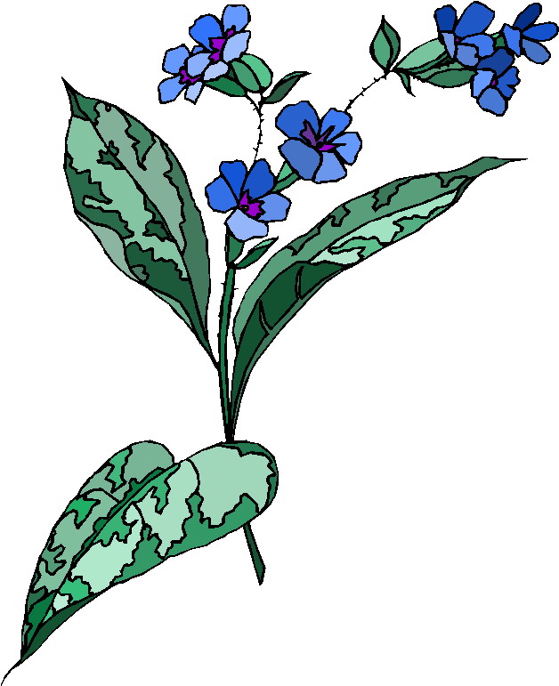 Plants clip art