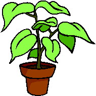 Plants clip art