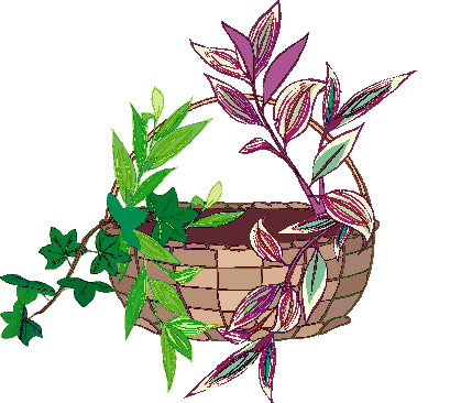 Plants clip art