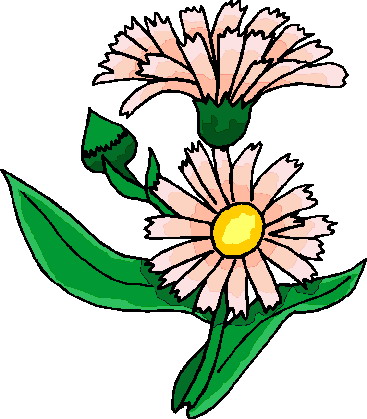 Plants clip art