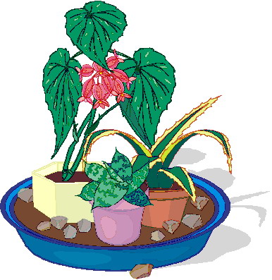 Plants clip art