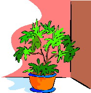 Plants clip art