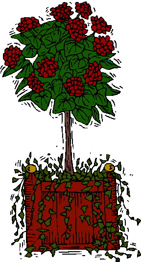 Plants clip art