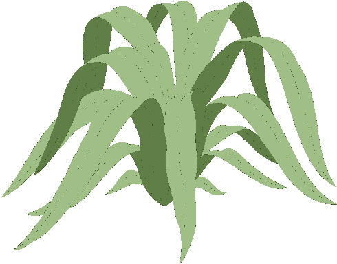 Plants clip art