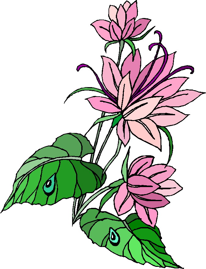 Plants clip art