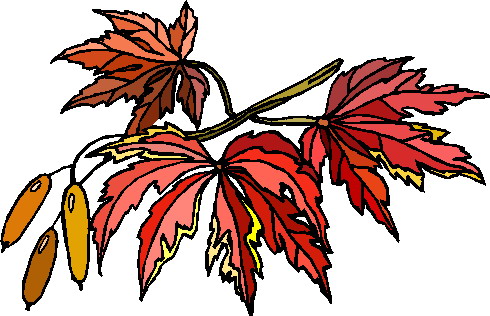 Plants clip art