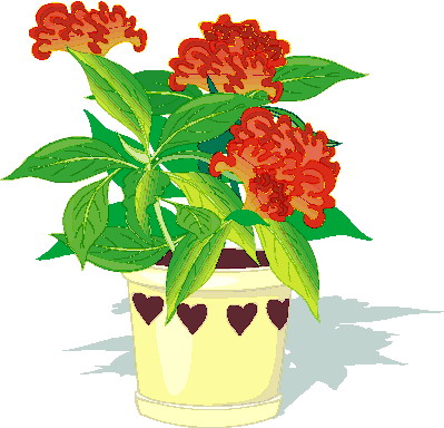 Plants clip art